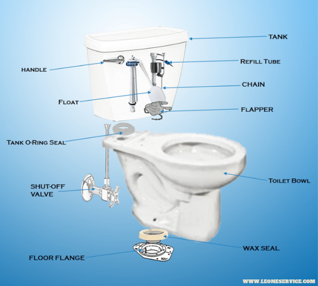 Your Toilet Bowl Parts How Do They Work?